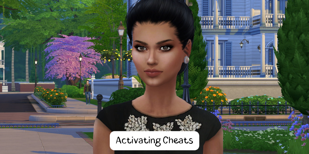 Activating Cheats